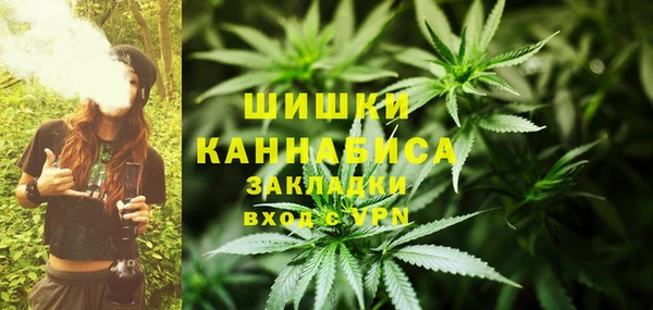 ГАЛЛЮЦИНОГЕННЫЕ ГРИБЫ Горнозаводск
