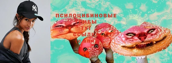 ГАЛЛЮЦИНОГЕННЫЕ ГРИБЫ Горнозаводск