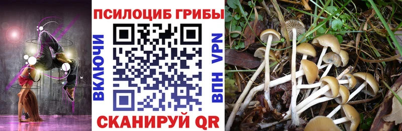 даркнет сайт  Власиха  Псилоцибиновые грибы мухоморы 